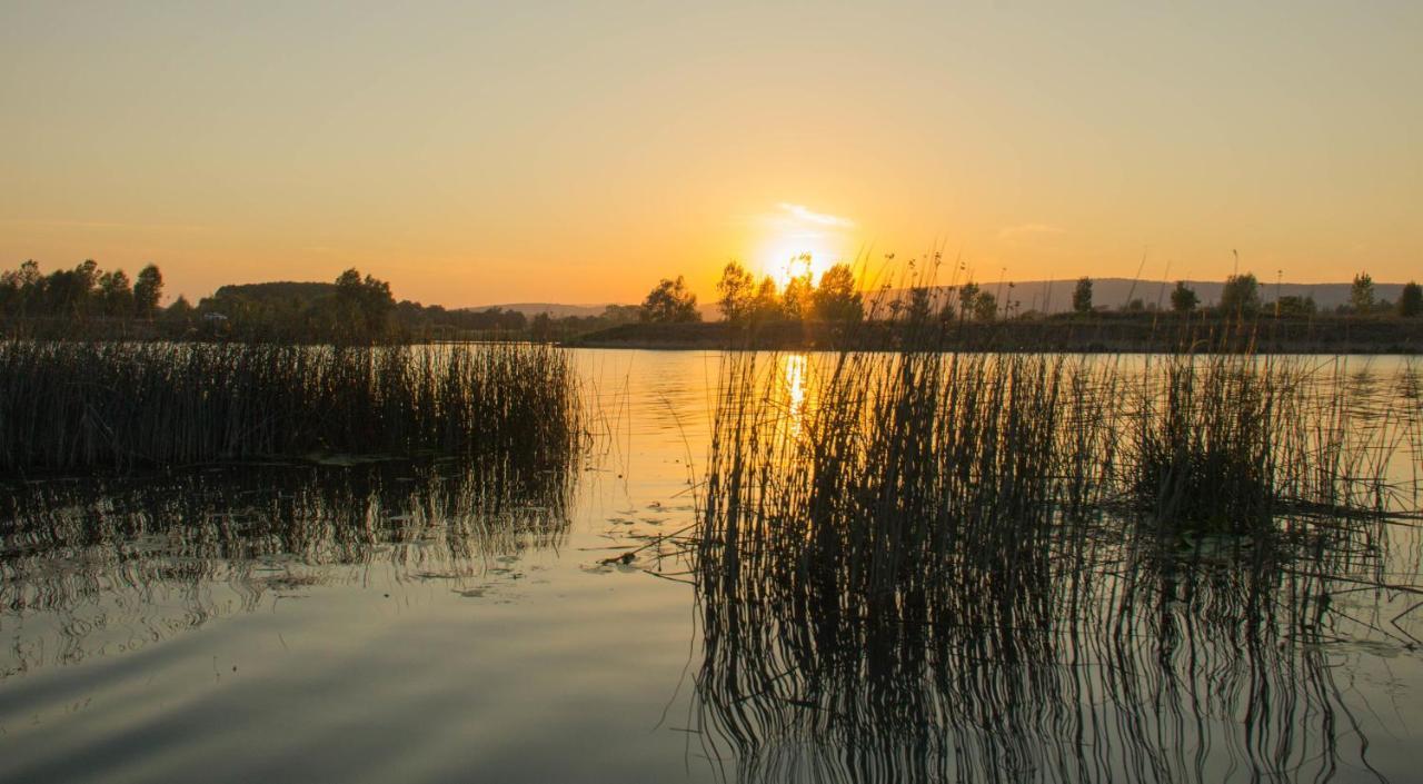 Camping Aux Rives Du Soleil Pont-de-Vaux Eksteriør bilde